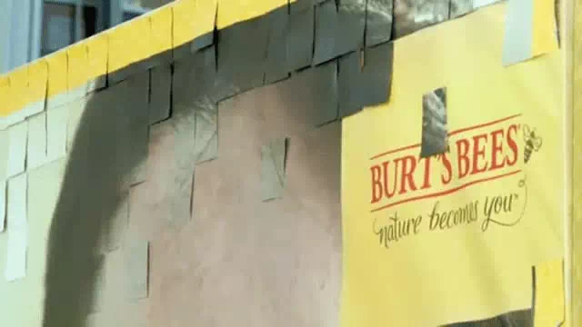 Burt's Bees-vector design us, inc