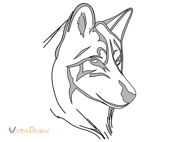 Wolf portrait drawing after editing