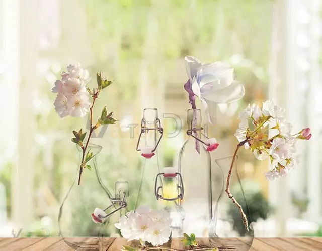 Translucent Object Masking sample