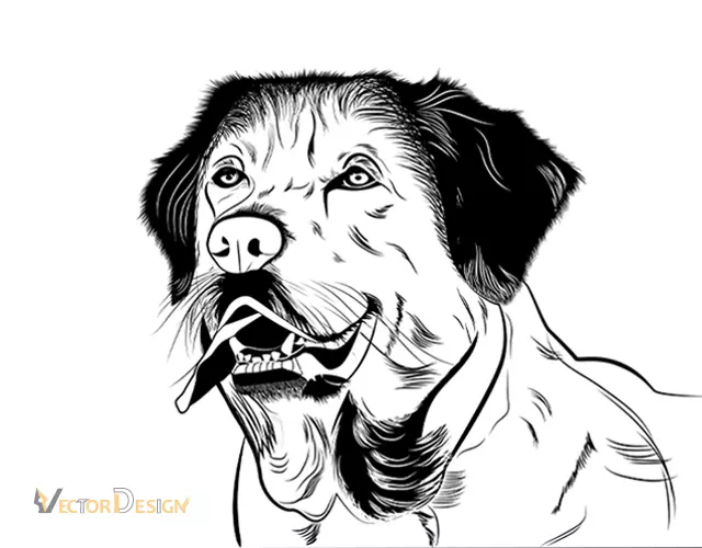 Hand-drawn vector line drawing of the same photo