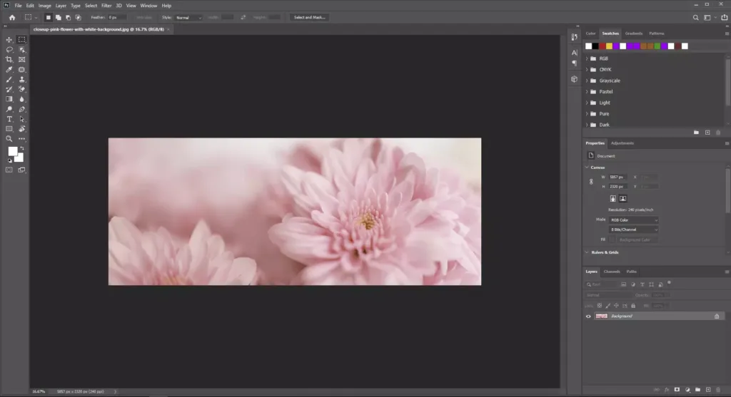 Adobe Photoshop 2021