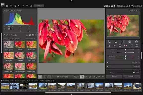 PT Photo Editor