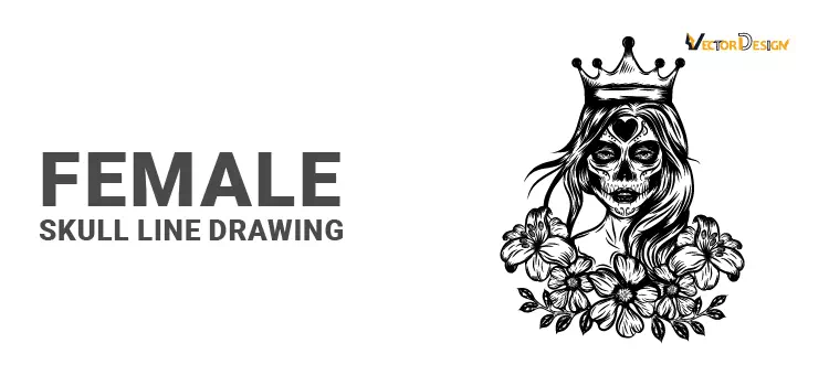 Female skull drawing