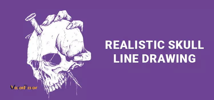 Realistic skull