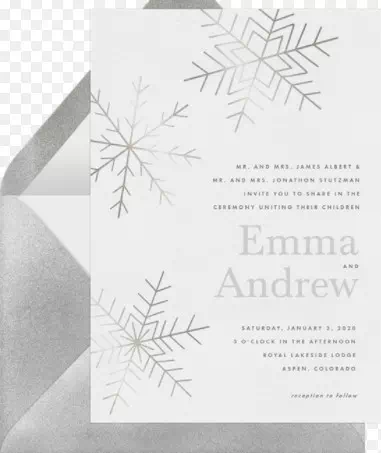 Shimmering Snowfall