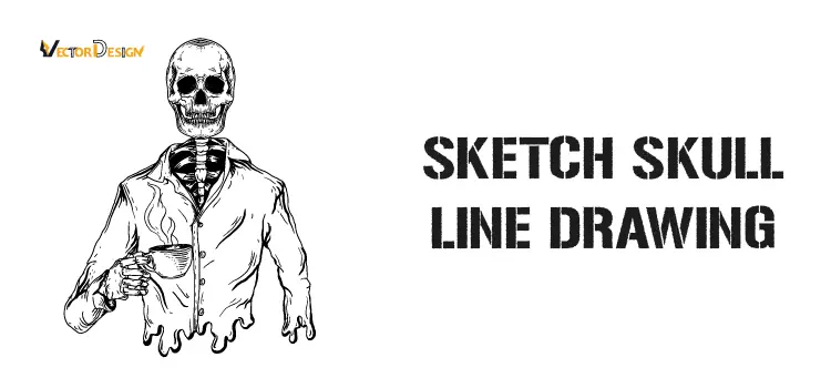 Sketch skull drawing