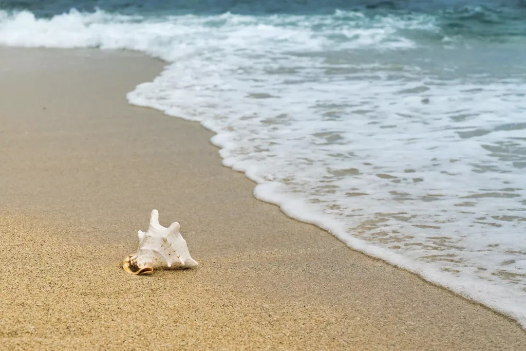 beach photography