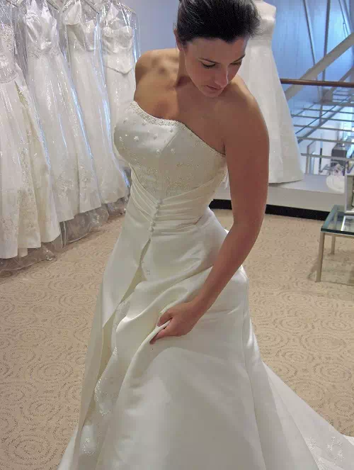bride's gown trial