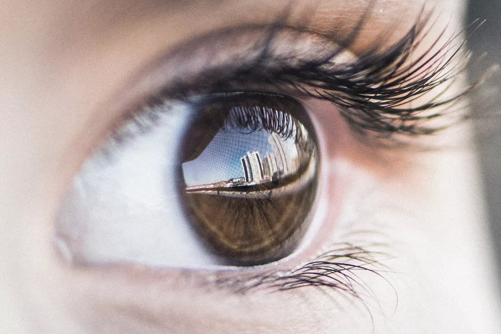 Eye Macro Photography