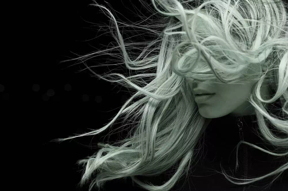 Flow With the Wind