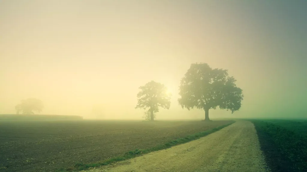 fog