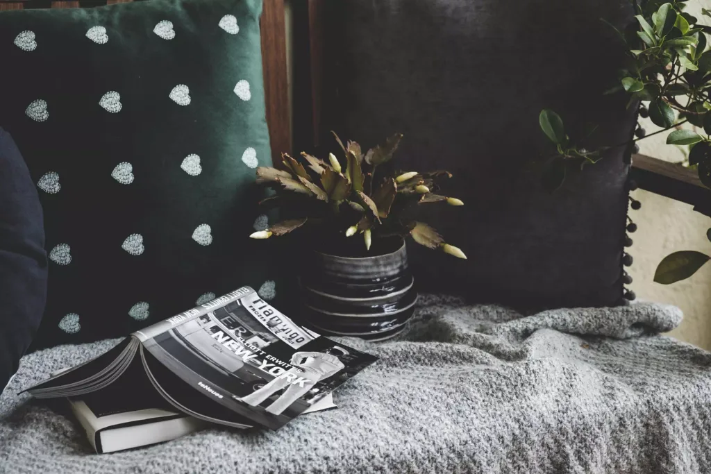 Homely and Cozy