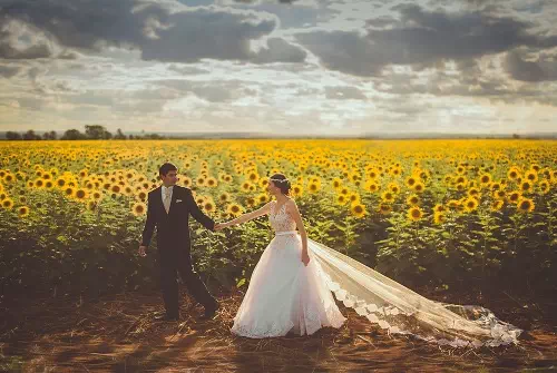 in a field
