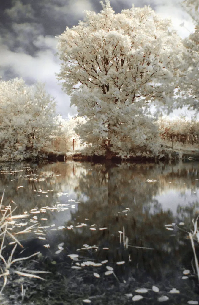 infrared