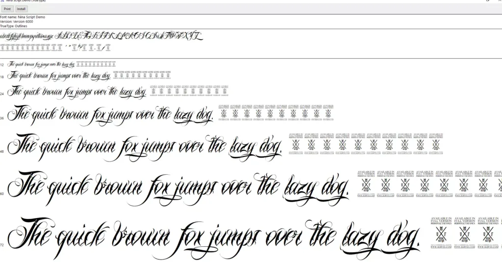nina_script_demo