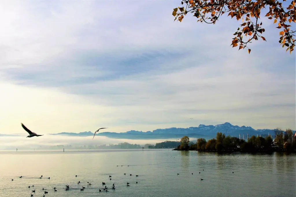 panoramic photography