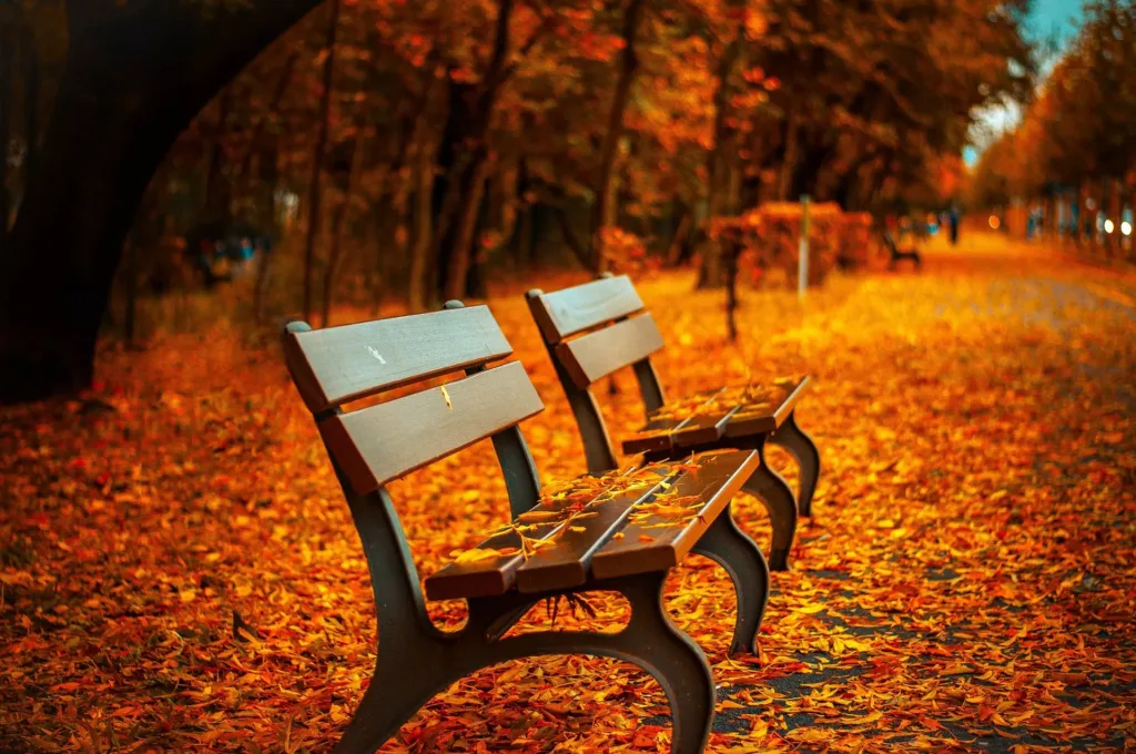 seasons