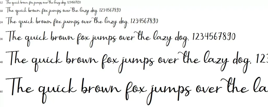 Selly Calligraphy