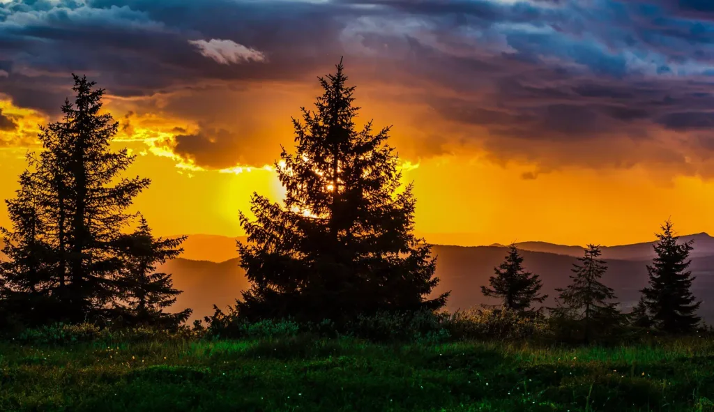 sunset