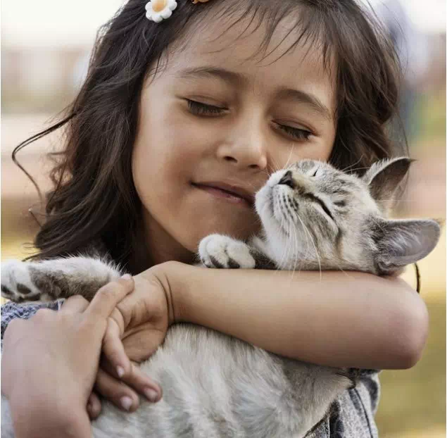 Incorporate Pets