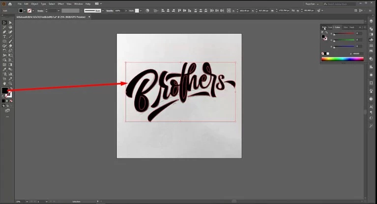 use of pentool- Vector Design US, Inc.