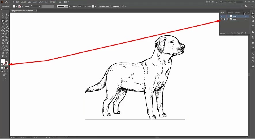 customize layer and stroke - Vector Design US, Inc.