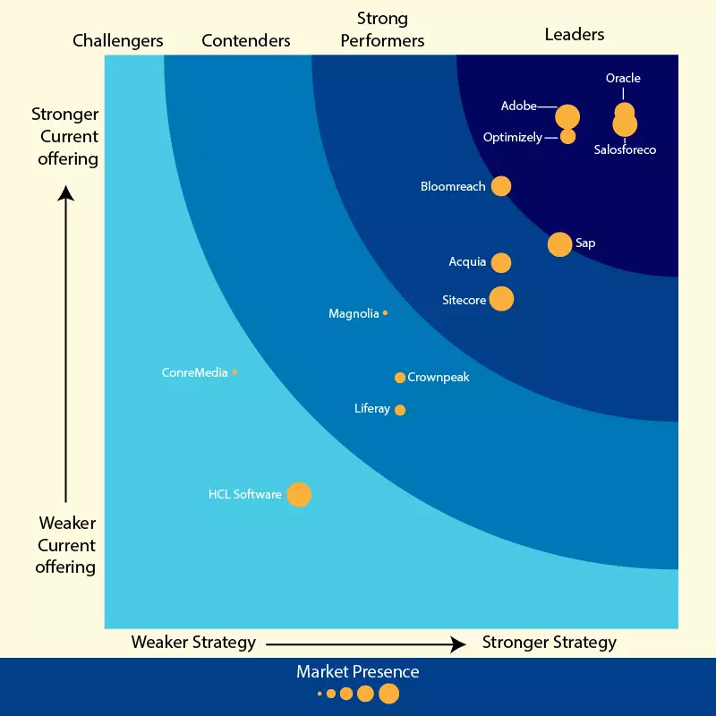Digital experience platforms