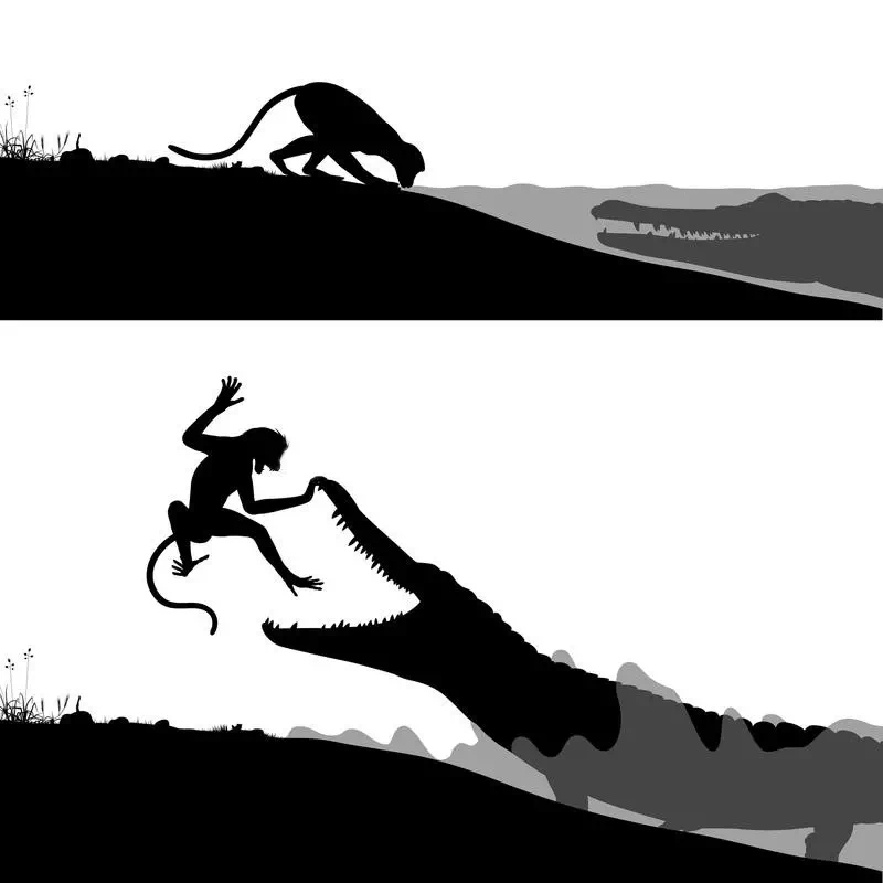 Crocodile Hunting Monkey