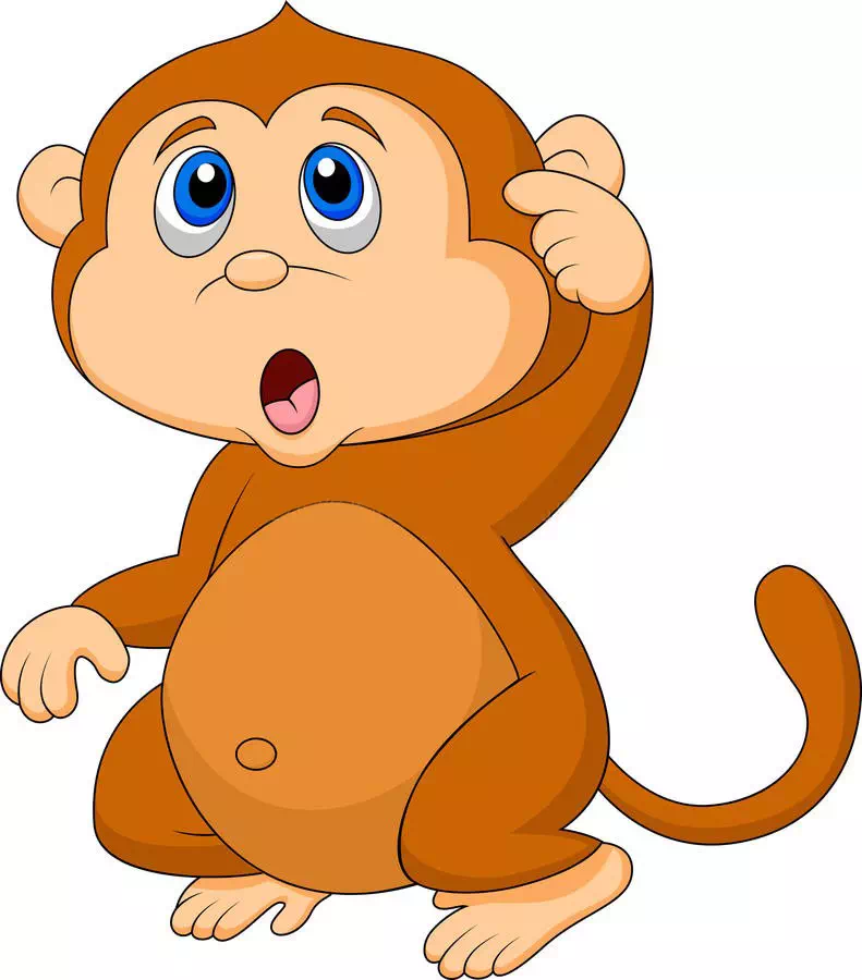 Cute Baby Monkey