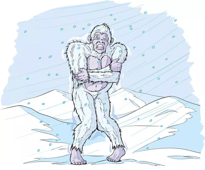 Freezing Monkey