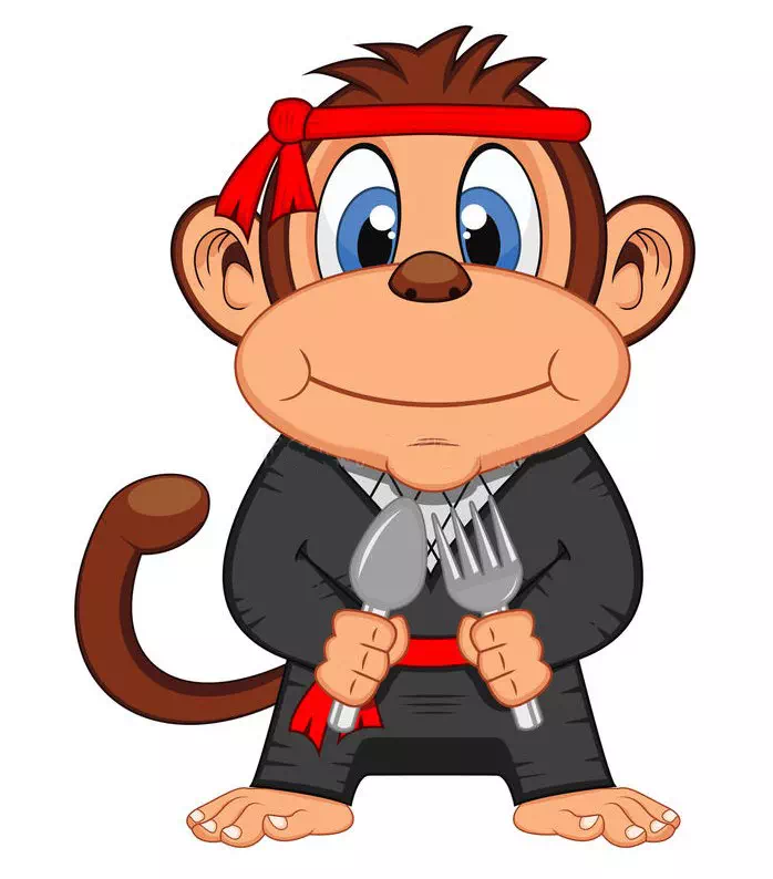 The Kung Fu Monkey