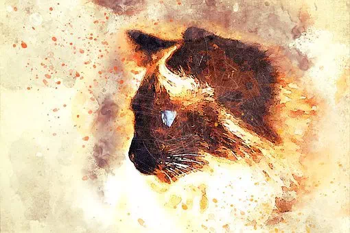 Furious Fireflake Cat