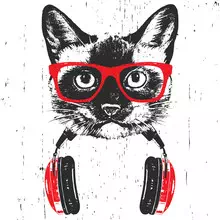 Portrait of Siamese Cat