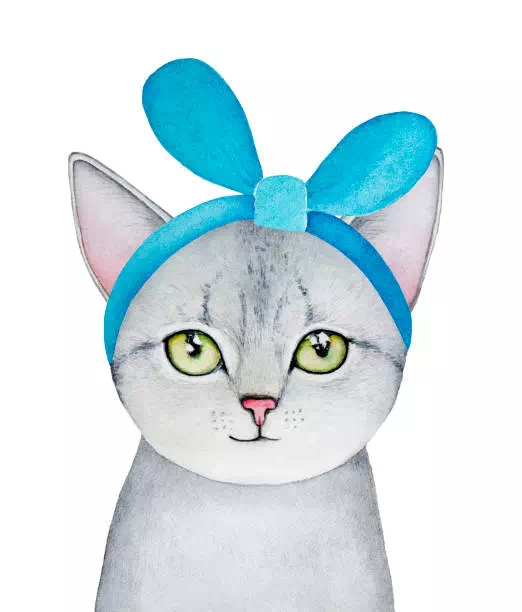 Beautiful Fashionfreak Kitten