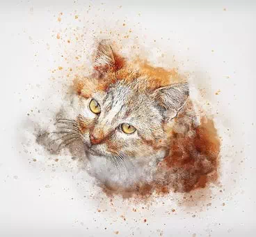 Fierce on Its Eyes