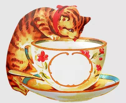 Greedy Cat Steals a Big Cup of Milk