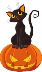 Halloween Cat on Face Pumpkin