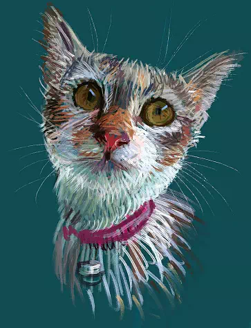 A Lean Calico Cat