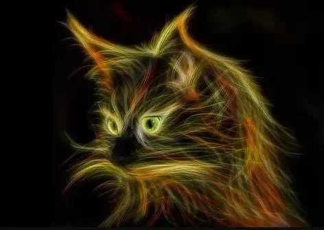 Hangover Cat