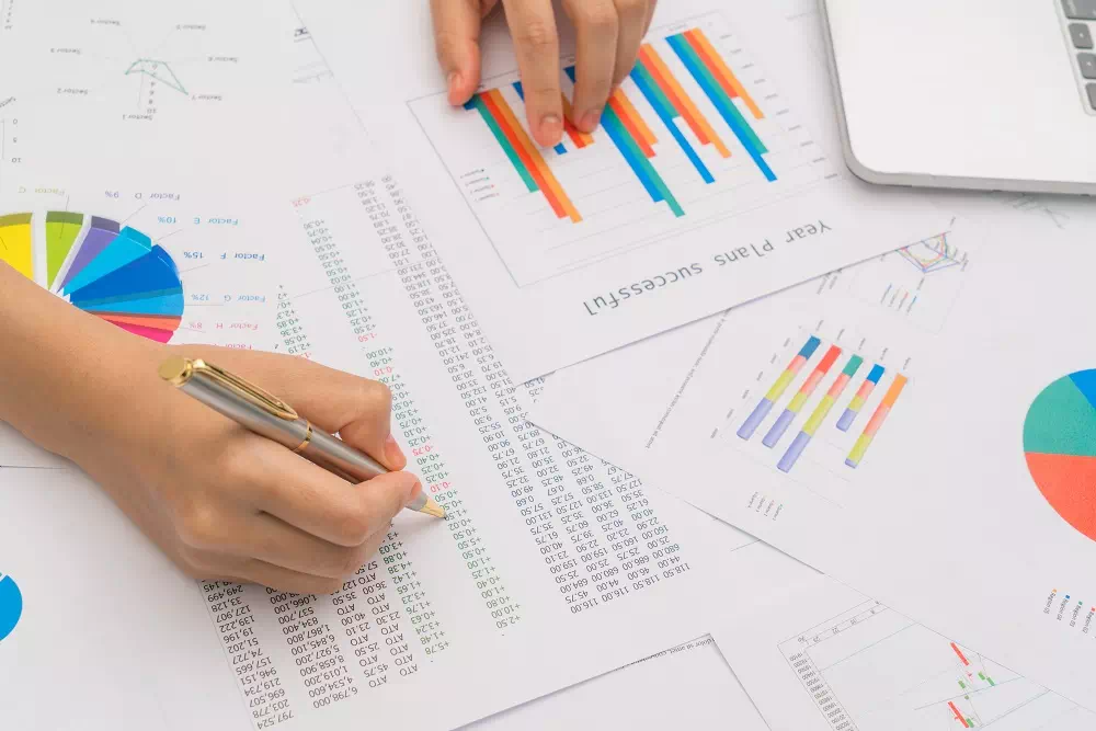 Analysis of price - Vector Design US, Inc.