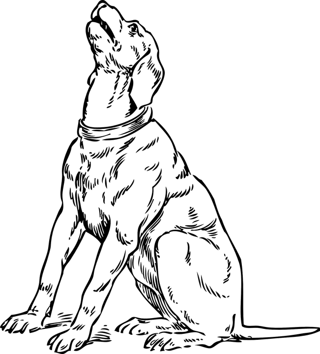 Barking Dog - Dog artwork