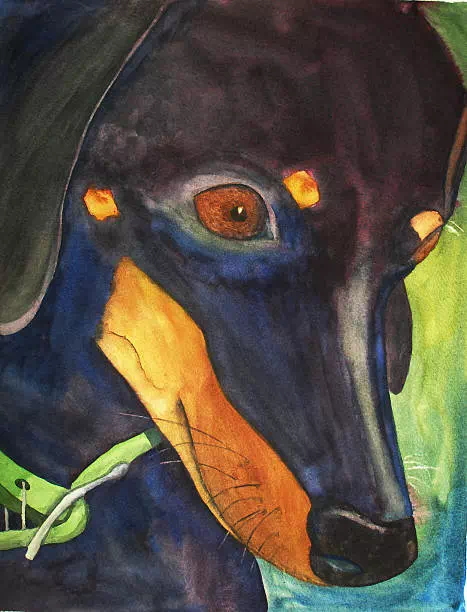 Dachshund Dog - Dog artwork