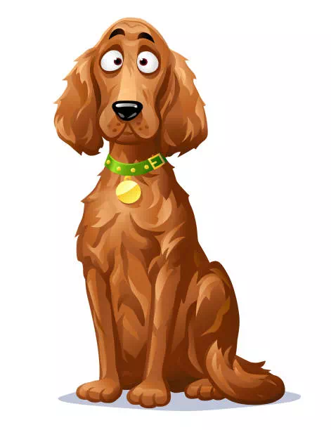Irish Setter Dog - Dog artwork
