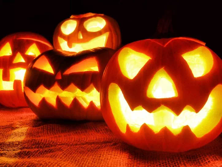 Jack O’Lanterns - Vector Design US, Inc.