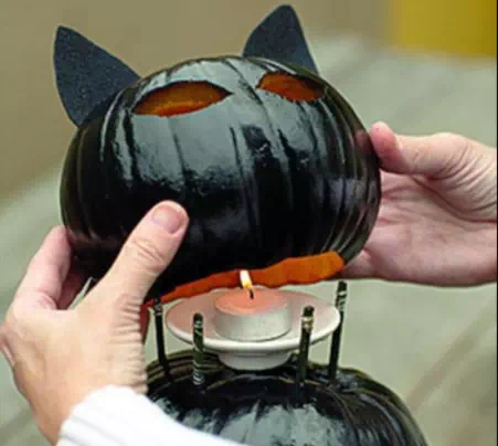 Purry Pumpkins - Vector Design US, Inc.
