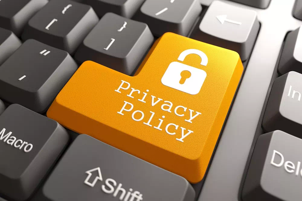 Read their terms, conditions, and privacy policy - Vector Design US, Inc.