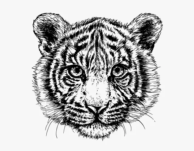 Realistic and Fine Art sample