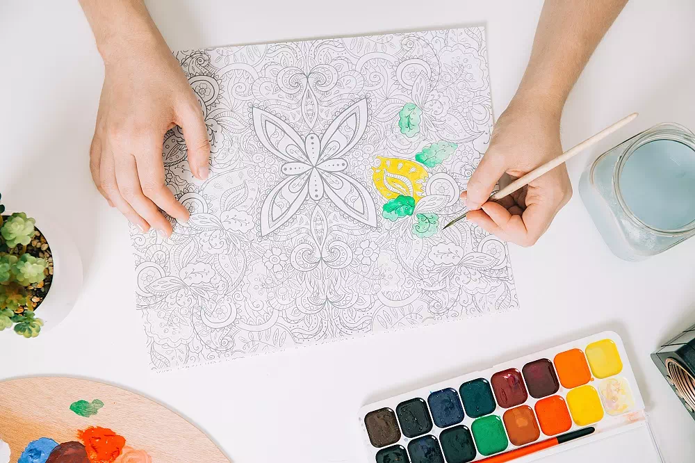 Share your sketch or art - Vector Design US, Inc.