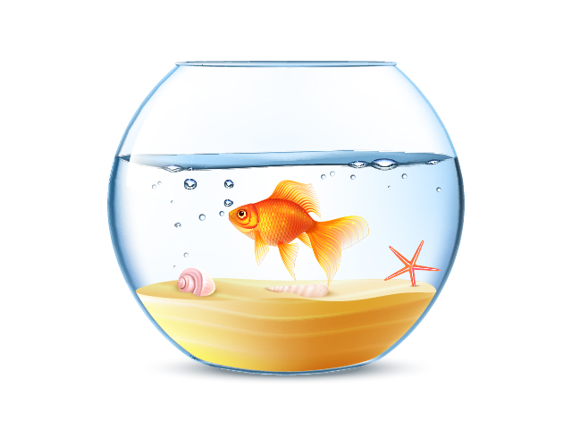 Aquarium Fish sample