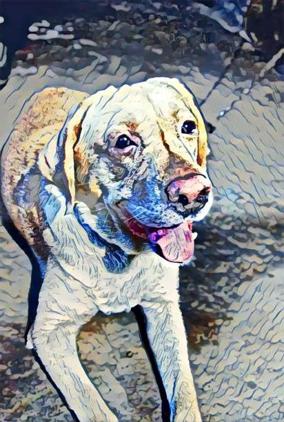 White Dog with a Sea Wave Color - Dog artwork
